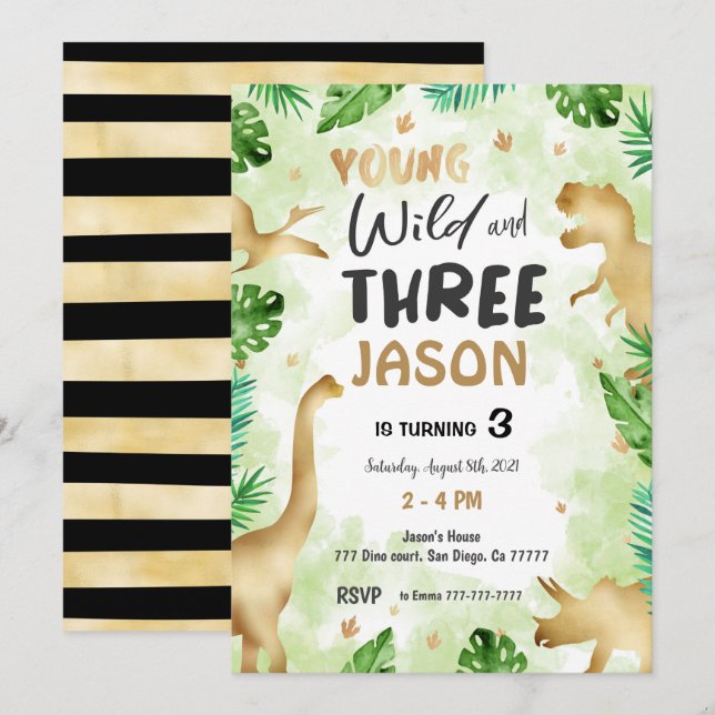 3rd Birthday, Dinosaur Birthday  Invitation (Front/Back)
