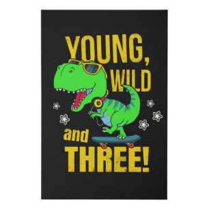 3rd Birthday Dinosaur Boy Faux Canvas Print