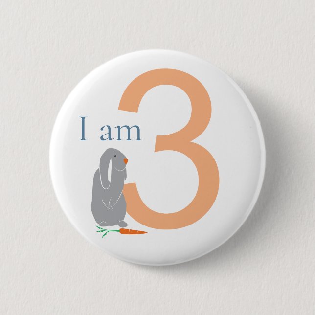 3rd Birthday Modern Minimal Grey Bunny Button (Front)