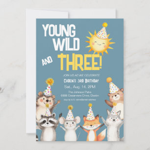 3rd Birthday Party Hats Forest Animals Birthday Invitation