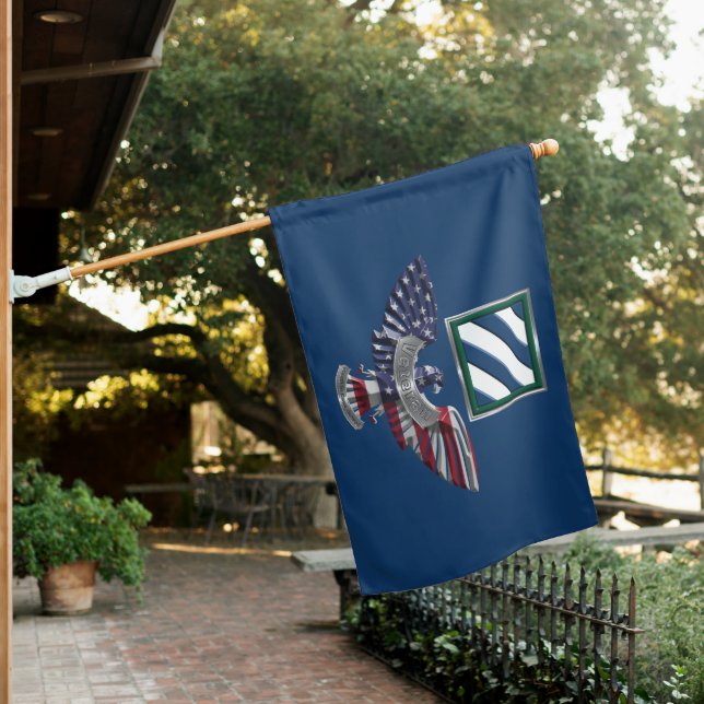3rd Infantry Division “Rock of the Marne” Eagle House Flag (In SItu)