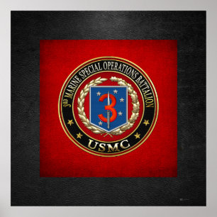 3rd MSOB [3D] Poster