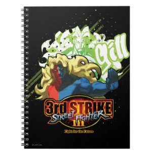 3rd Strike Gill Notebook