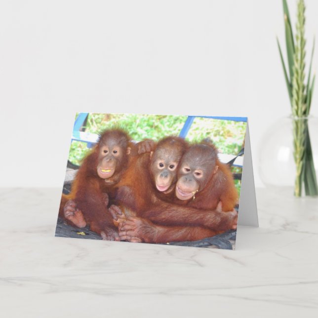 3's Not a Crowd - Orangutan Babies Card (Front)