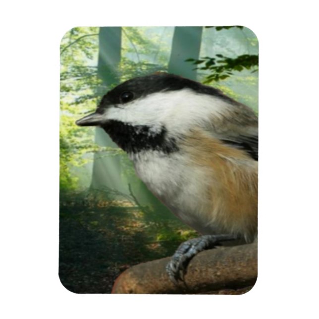 3x4 photo magnet (Vertical)