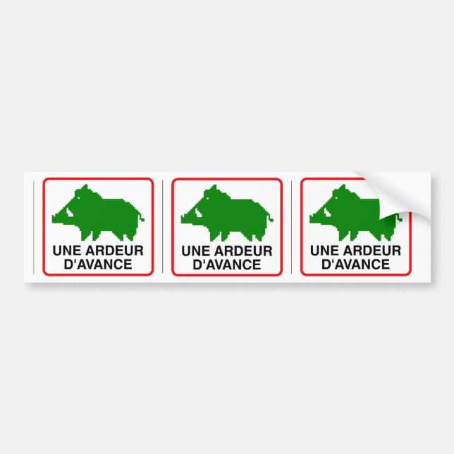 3x STICKER Boar CAR - ADVANCE ARDER (Front)