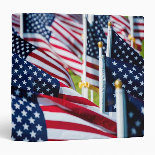 400 flags waving proudly in a field binder (Front/Spine)