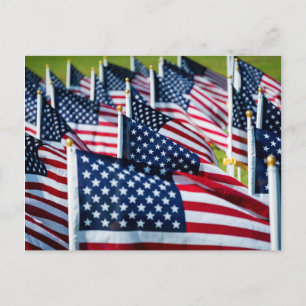 400 flags waving proudly in a field postcard