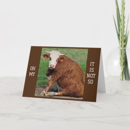 40 BIRTHDAY HUMOR FROM A MOOING COW CARD