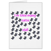 40 Cat Heads Old (Front)