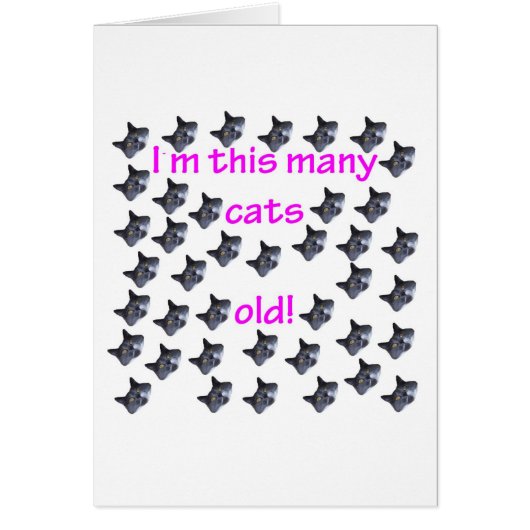 40 Cat Heads Old Cards (Front)