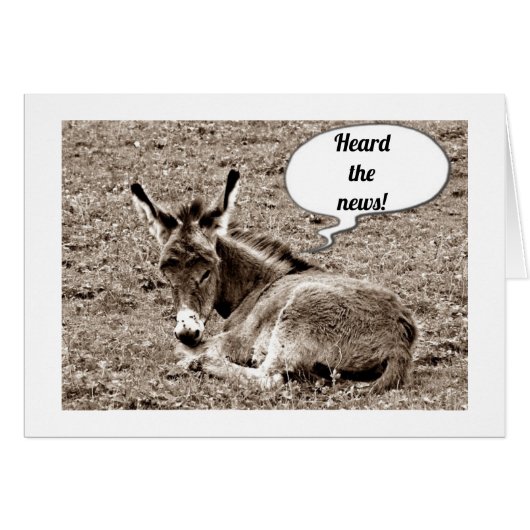 ***40TH*** BIRTHDAY ADVICES FROM BABY MULE (Front Horizontal)