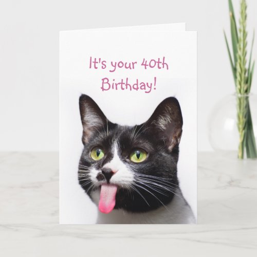 40th Birthday Cat Sticking out Tongue Funny Humor Card