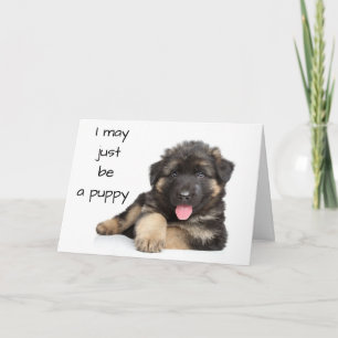 *40th BIRTHDAY* FROM A PUP WHO KNOWS Card