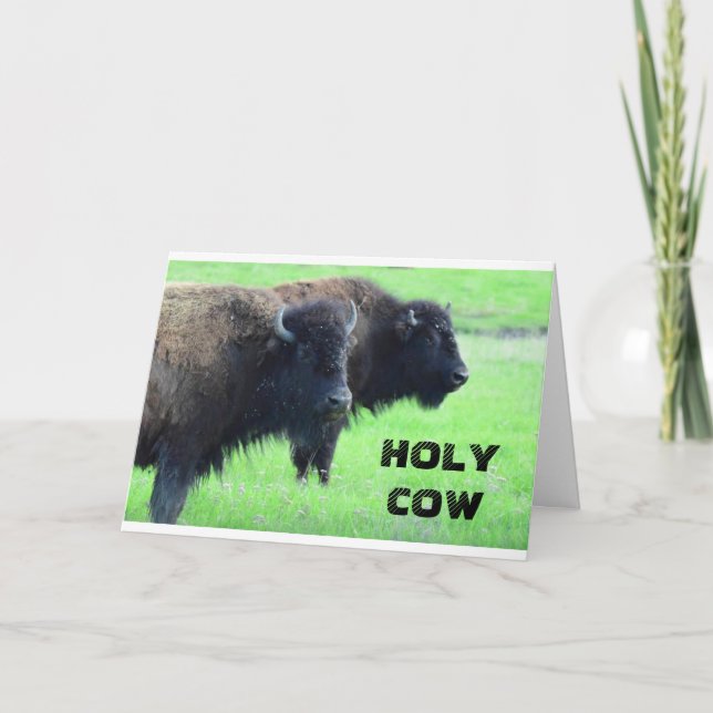 ****40th BIRTHDAY*** FROM COMEDIC BUFFALO Card (Front)