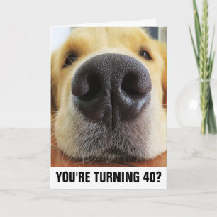 40TH BIRTHDAY FUNNY DOG GREETING CARDS