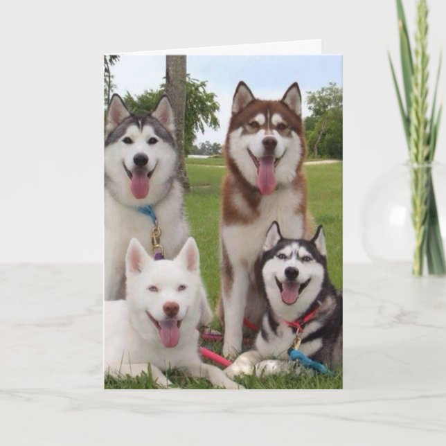 **40TH** BIRTHDAY HUMOR FROM SIBERIAN HUSKEY GROUP CARD (Front)