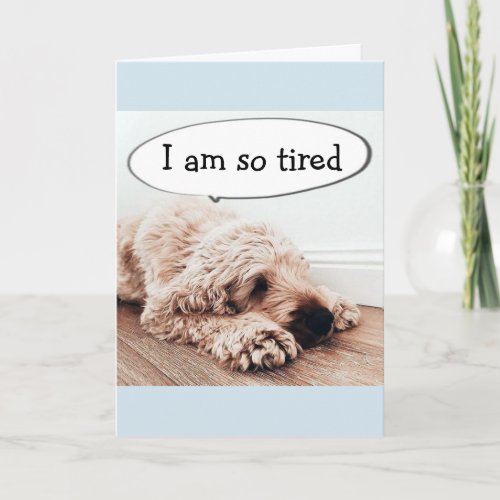 40th BIRTHDAY TIRED DOG IS A FUNNY DOG AS WELL Card