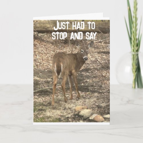 40th BIRTHDAY WISHES FROM a COOL DEER Card