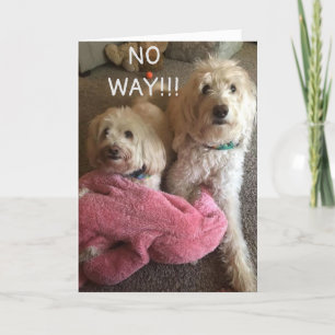 **40th BIRTHDAY** WISHES from SOME CUTE PUPS Card