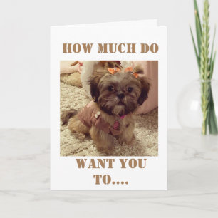 **40th BIRTHDAY** WISHES FROM THIS SWEET PUP Card