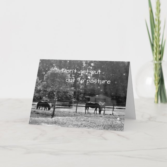 *40th* DON'T LET THEM PUT "YOU" OUT TO PASTURE Card (Front)