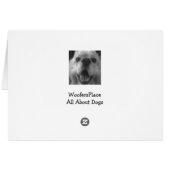 "40th" JUST CALL ME JEALOUS (Back Horizontal)