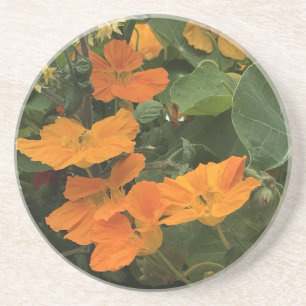 40th Wedding Anniversary Nasturtium alternative Coaster