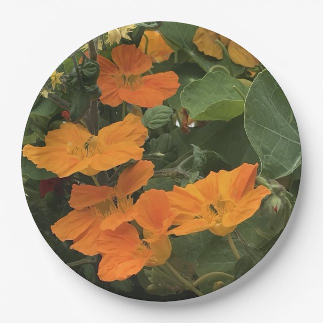 40th Wedding Anniversary Nasturtium alternative Paper Plates (Front)