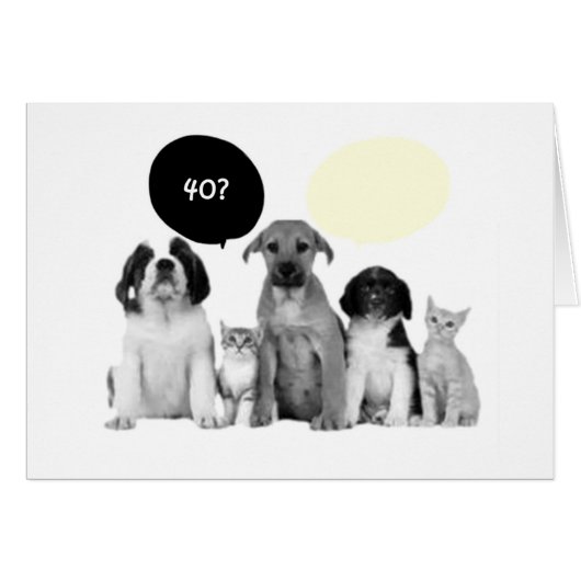 "40th" WOOF NEVER WOULD HAVE GUESSED Cards (Front Horizontal)