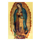 40x60 Our Lady Guadalupe Poster Print Picture