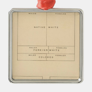 41 Elements of population 1900 Metal Ornament