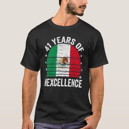 41 Year Old Birthday Mexican 41st Birthday Pun Vin T_Shirt
