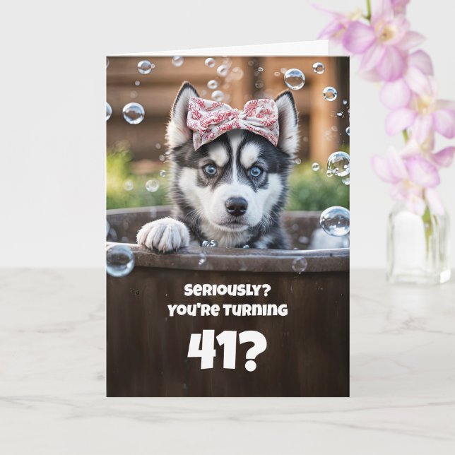 41st Birthday Cute and Funny Husky Dog Card (Orchid)