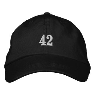 42 embroidered hat (you made change the number)