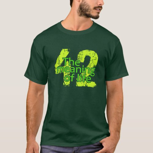 42 Meaning of Life shirt _ choose style  color