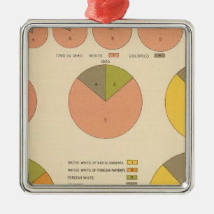 42 Population, elements 1790-1900 Metal Ornament