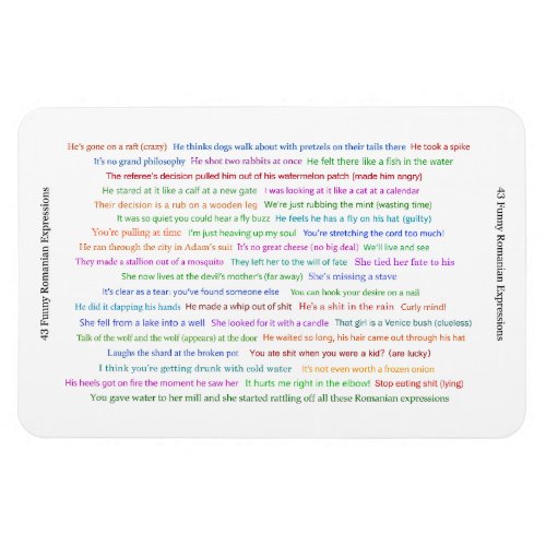 43 Funny Romanian Expressions Conversation Piece  Magnet