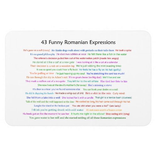 43 Funny Romanian Expressions Conversation Piece  Magnet