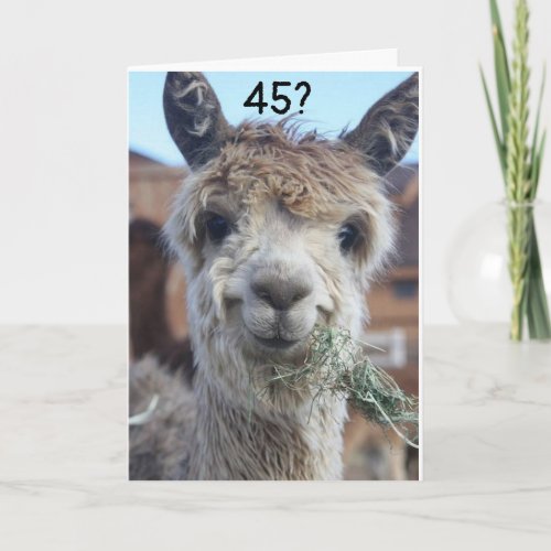 45 I JUST CANT BELIEVE IT SAYS LLAMA CARD