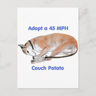 45 mph Couch Potato Postcard