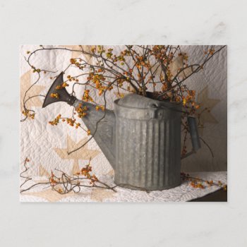 4626 Bittersweet In Watering Can Postcard by RuthGarrison at Zazzle