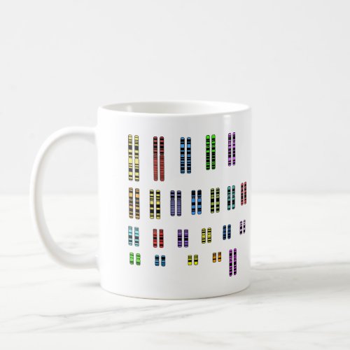 46 Karyotype Mug