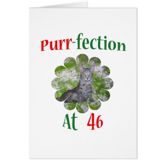 46 Purr-fection Cards (Front)