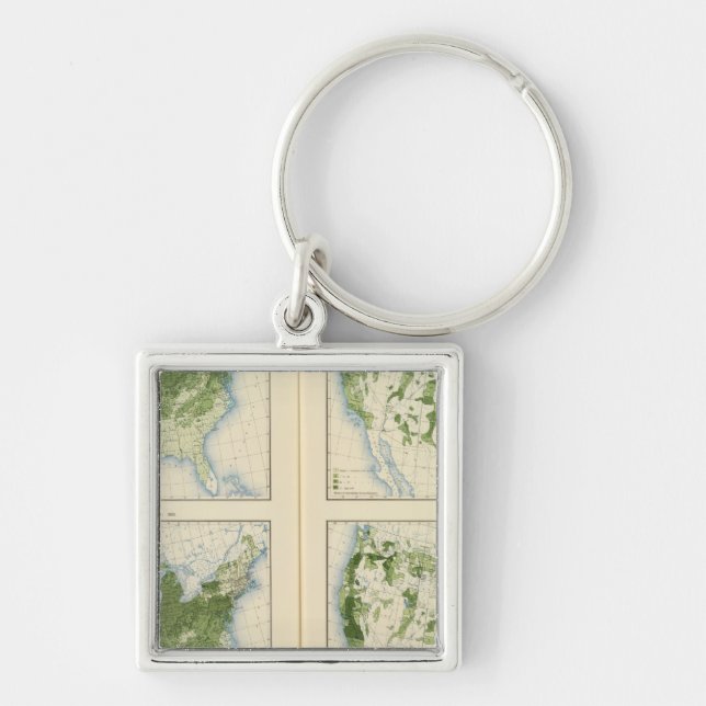 46 Wheat 1890 Keychain (Front)