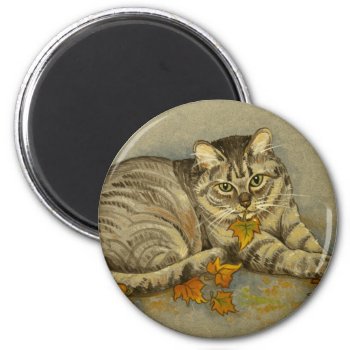 4872 Autumn Cat Magnet by RuthGarrison at Zazzle