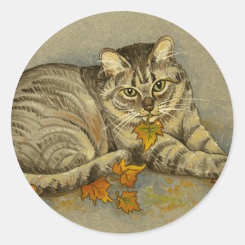 4872 Autumn Cat Stickers by RuthGarrison at Zazzle