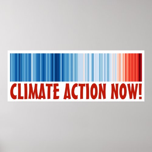 48x18 Global Warming Climate Change Action NOW Poster