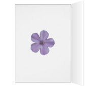 48th birthday card with lavender flowers (Inside (Left))