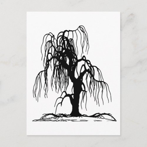 4920 SCARY WEEPING WILLOW TREE BLACK SILHOUETTE GR POSTCARD